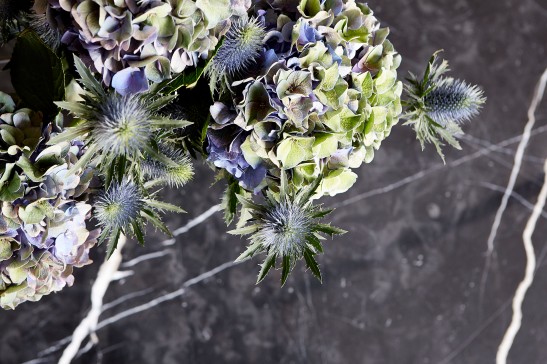 Svarvargatan Kungsholmen townhouse tistlar blommor blått lila grå sten Fantasticfrank